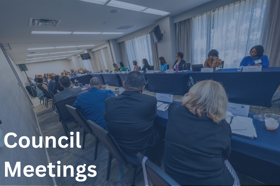 Includes the text "Council Meetings" and features a group photo of the Coordinating Council, presenters and attendees in the conference room