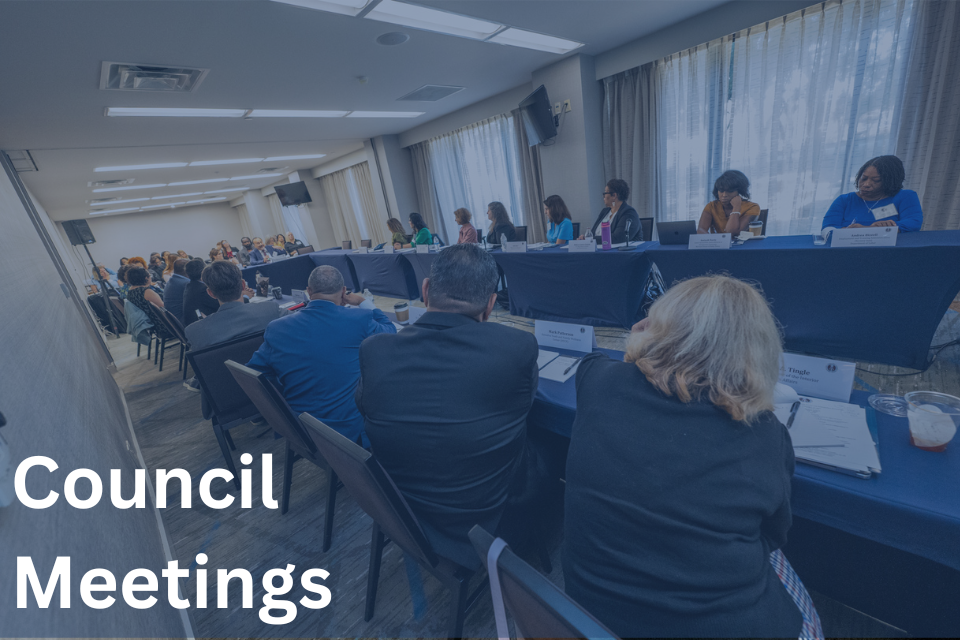 Council Meetings Includes the text "Council Meetings" and features a group photo of the Coordinating Council, presenters and attendees in the conference room