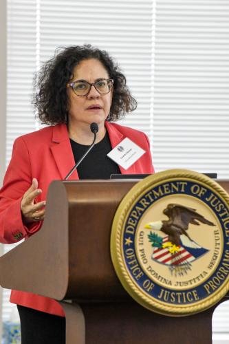 Lourdes Rosado, President & General Counsel at LatinoJustice PRLDEF - September 19, 2024 meeting