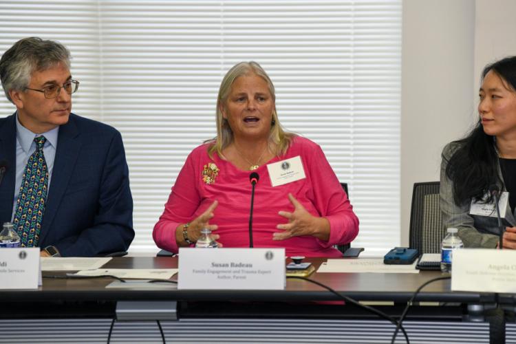 Susan Badeau, Family Engagement and Trauma Expert, Author and Parent, speaks at the Coordinating Council meeting.