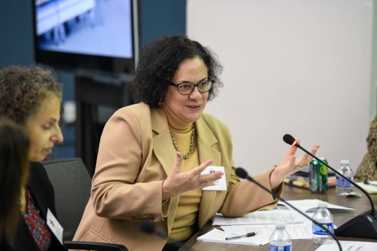 Practitioner Member, Lourdes Rosado, speaks at the Coordinating Council meeting 